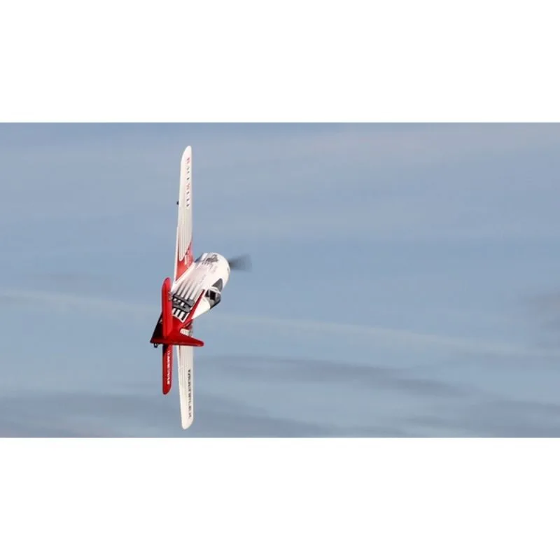 1-01771 RaceWulf (6).jpg