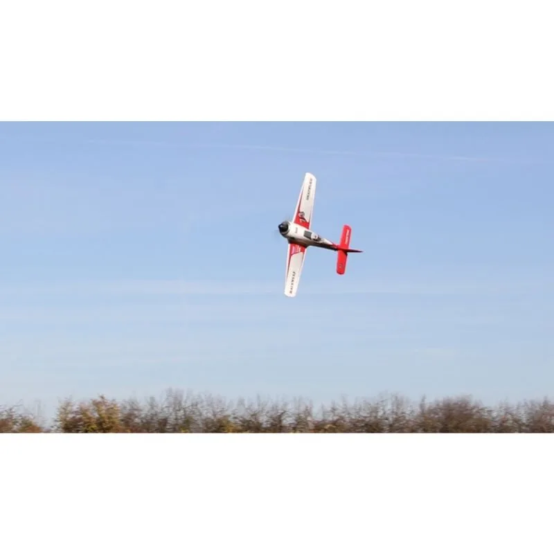 1-01771 RaceWulf (14).jpg