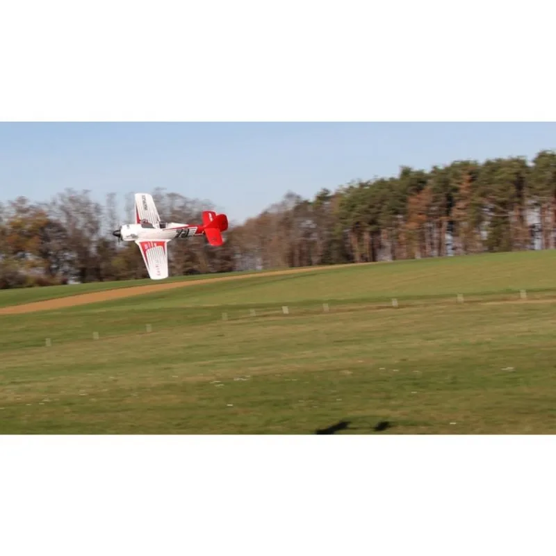 1-01771 RaceWulf (19).jpg