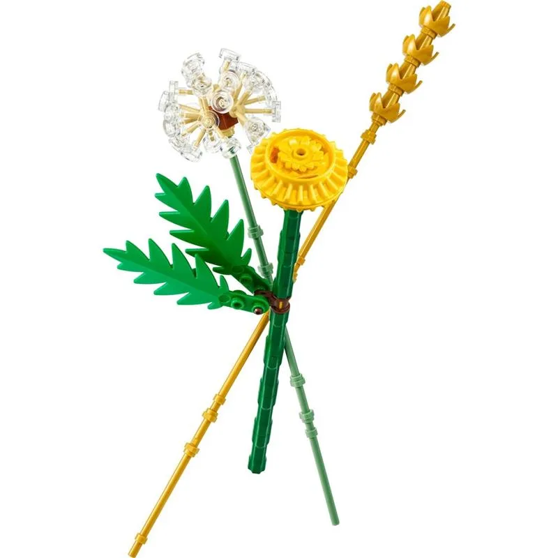 lego-botanicals-feldblumen-30701.jpg