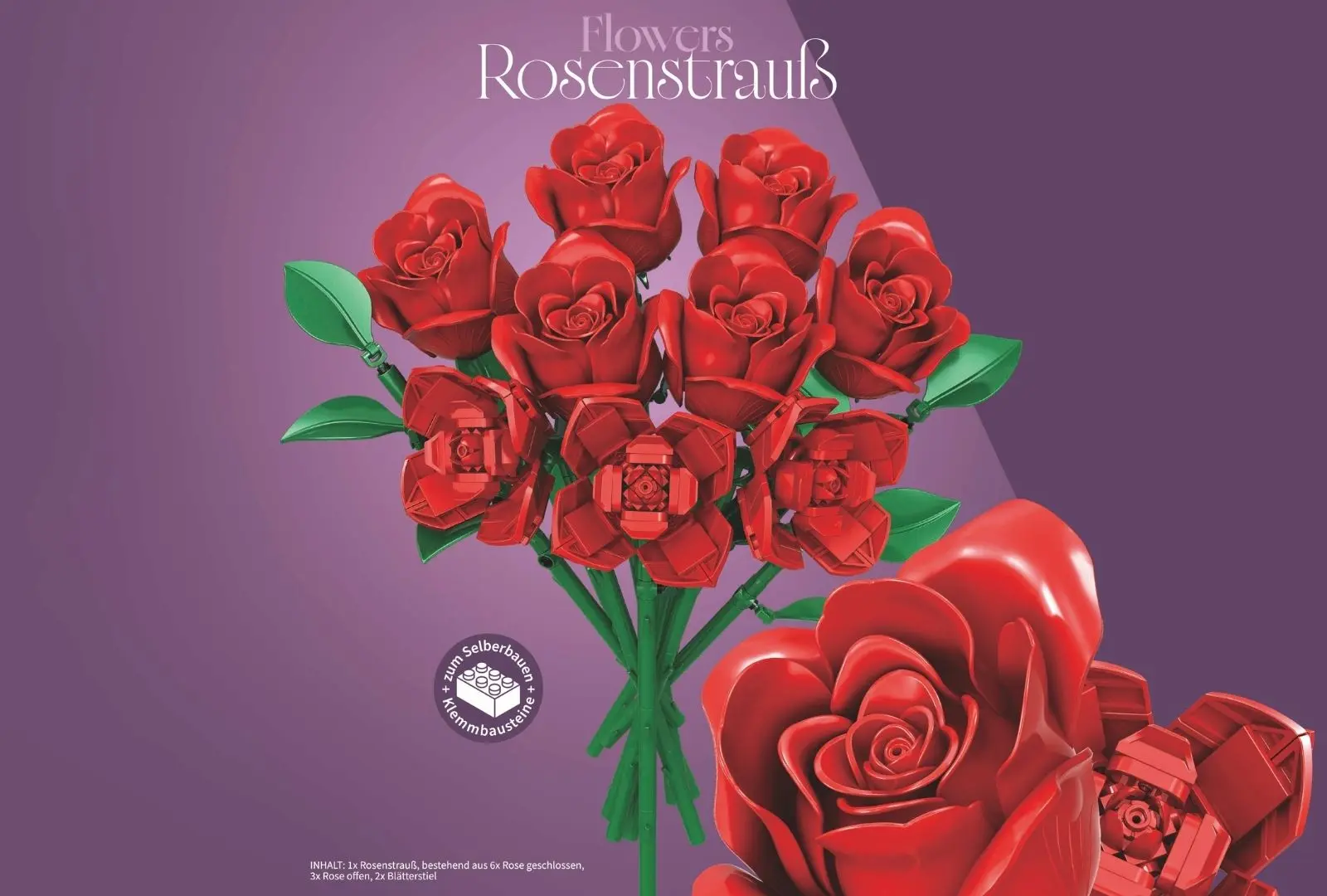 sh-11001_rosenstrauss~8.webp