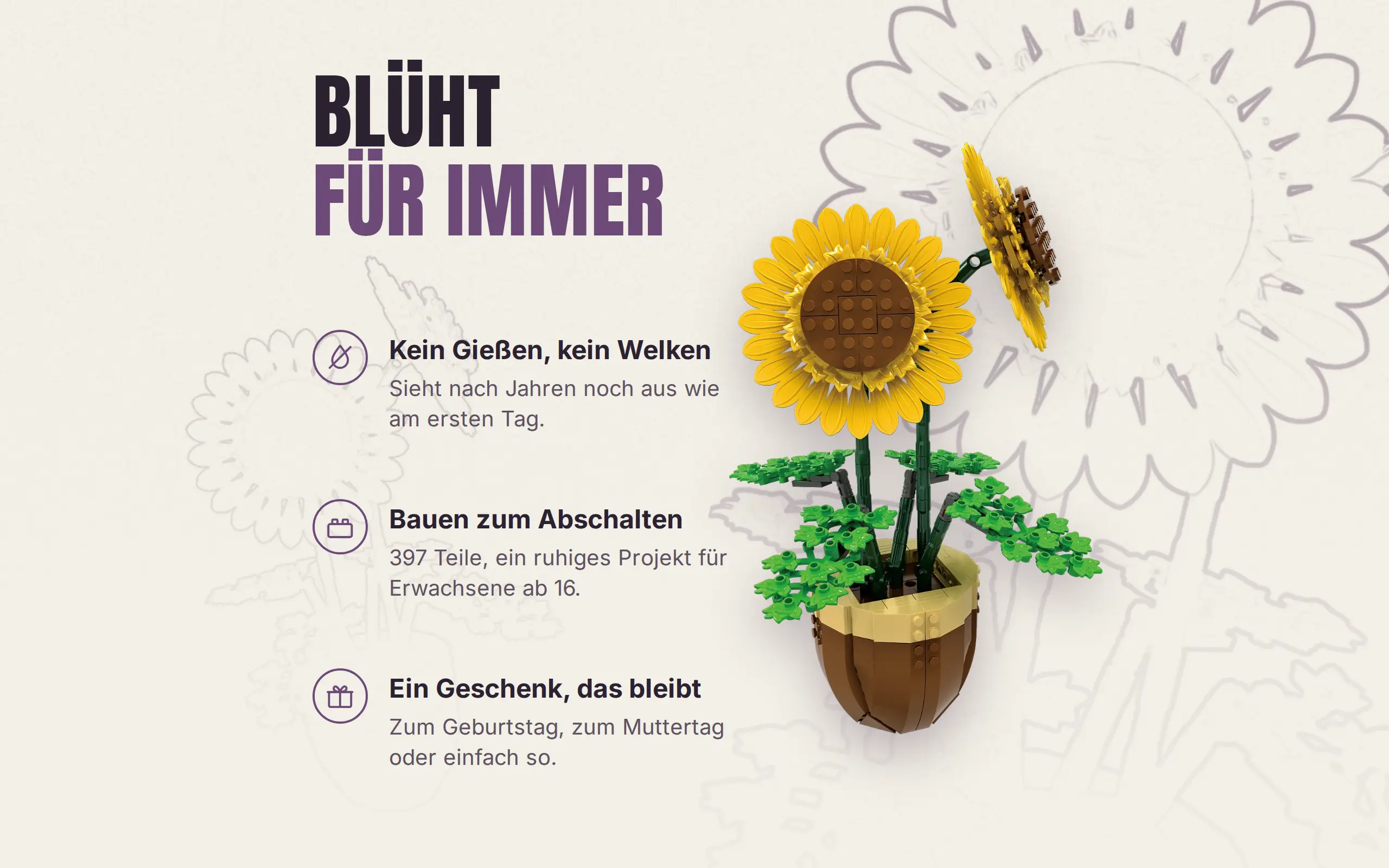 sh-11008_sonnenblumen~11.webp
