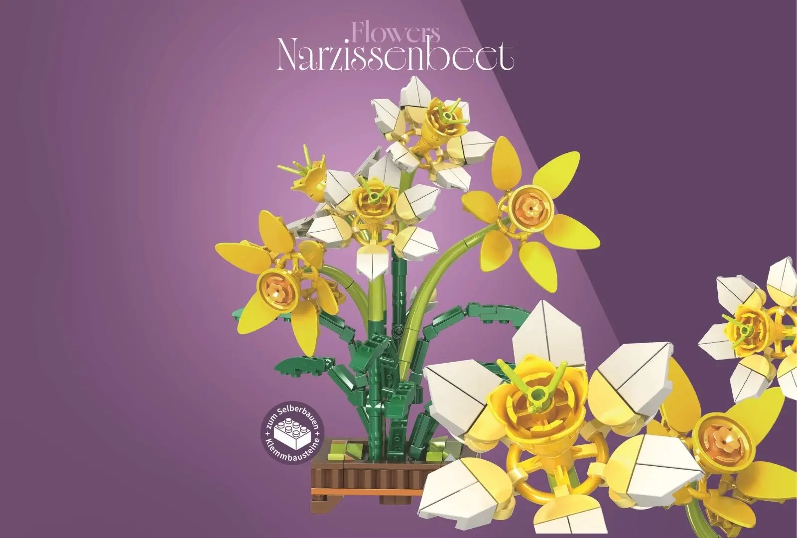 sh-11009_narzissenbeet~7.webp