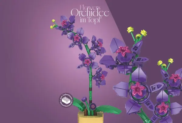 sh-11011_orchidee-im-topf~7.webp