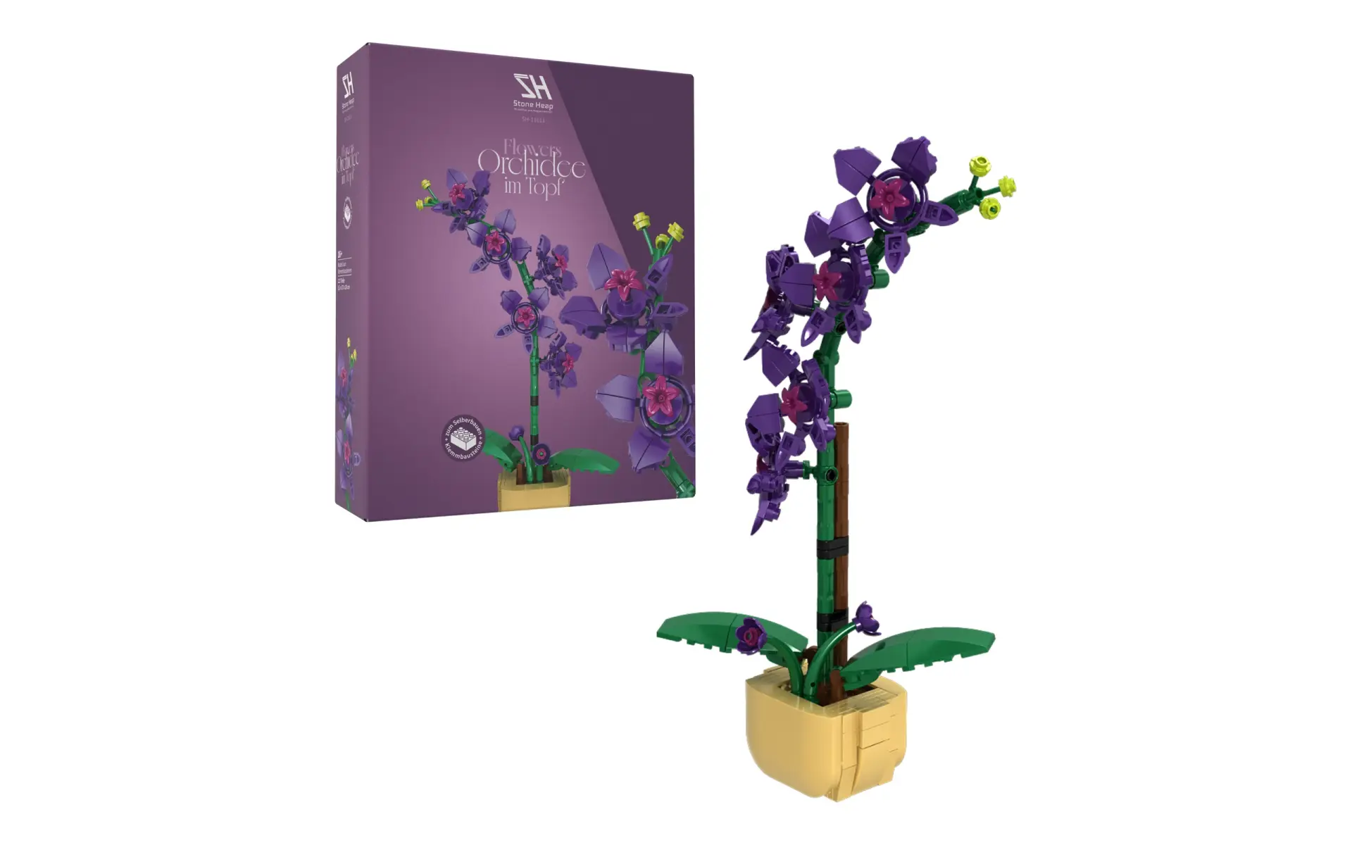 sh-11011_orchidee-im-topf~8.webp