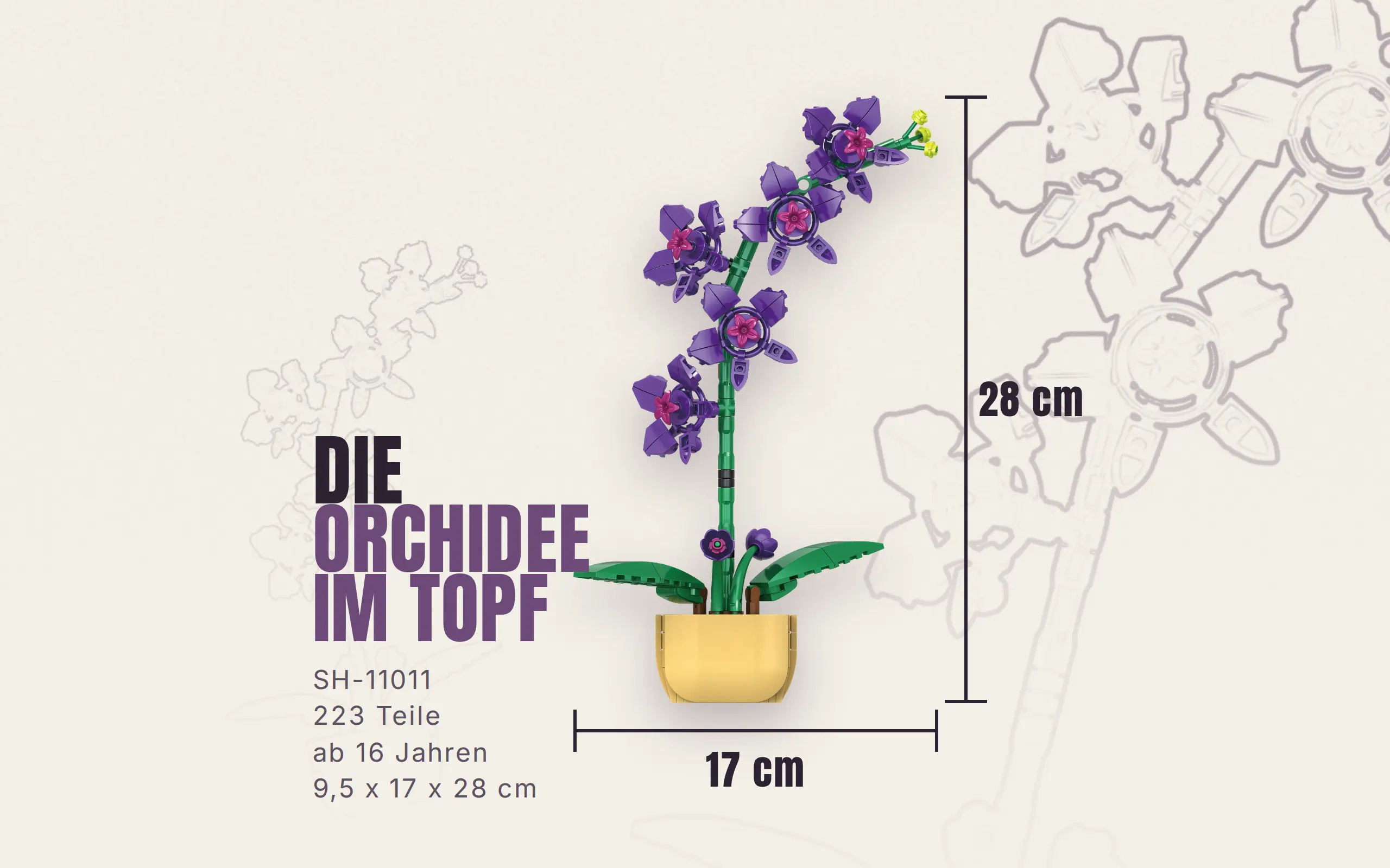 sh-11011_orchidee-im-topf~9.webp