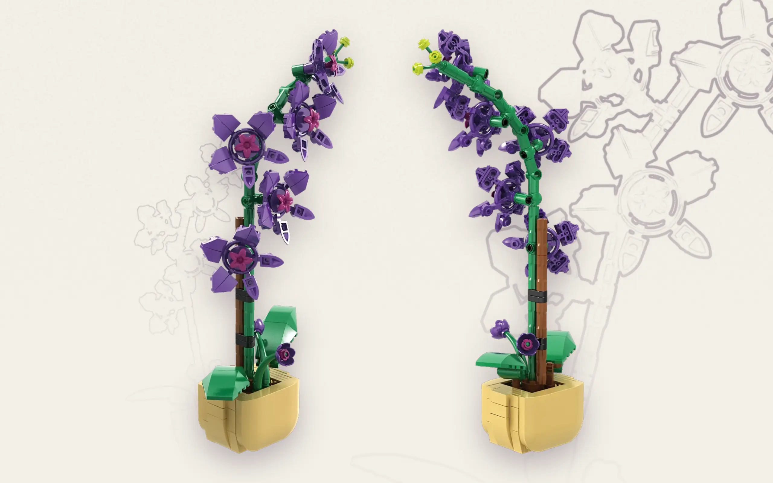 sh-11011_orchidee-im-topf~10.webp