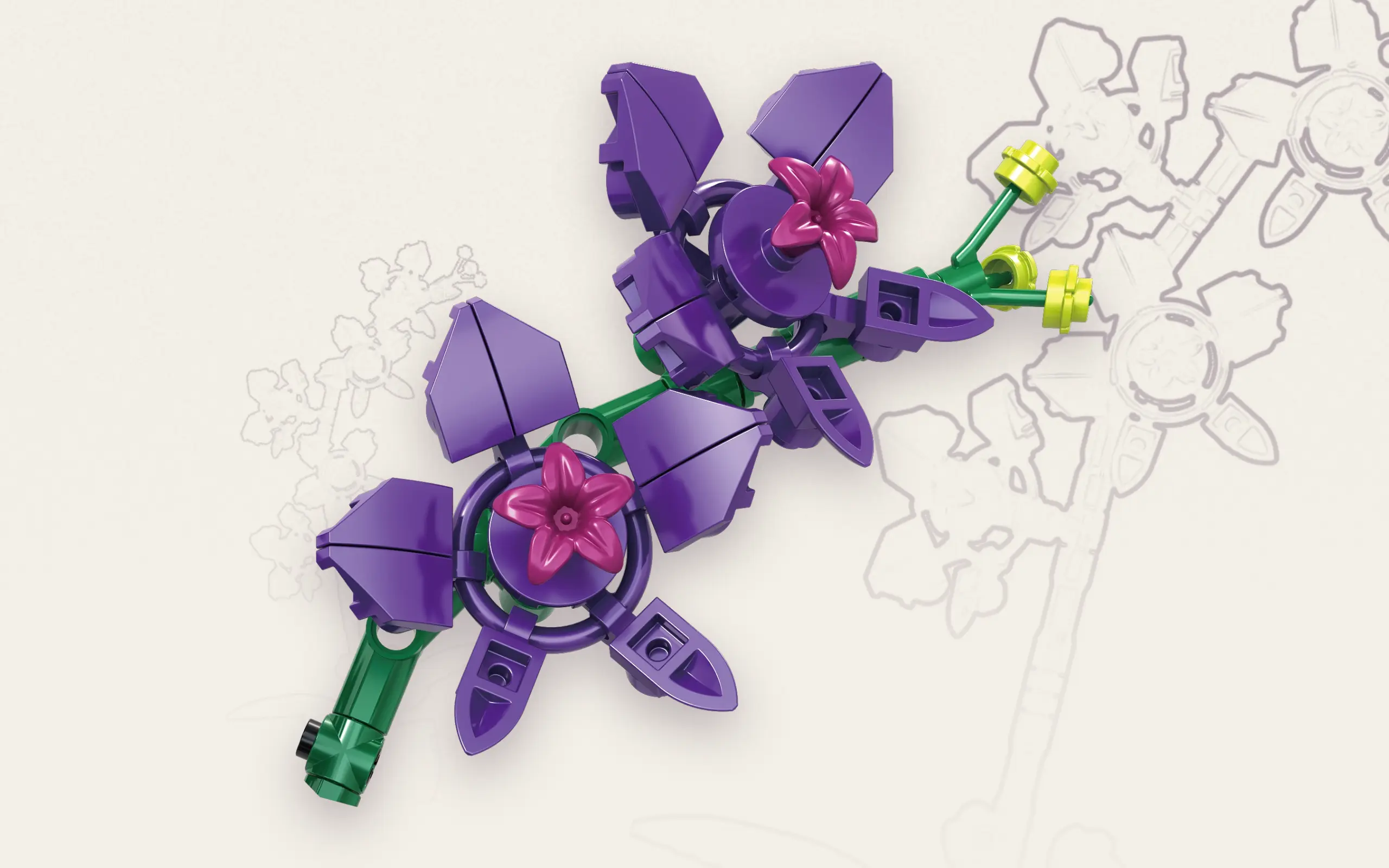 sh-11011_orchidee-im-topf~11.webp