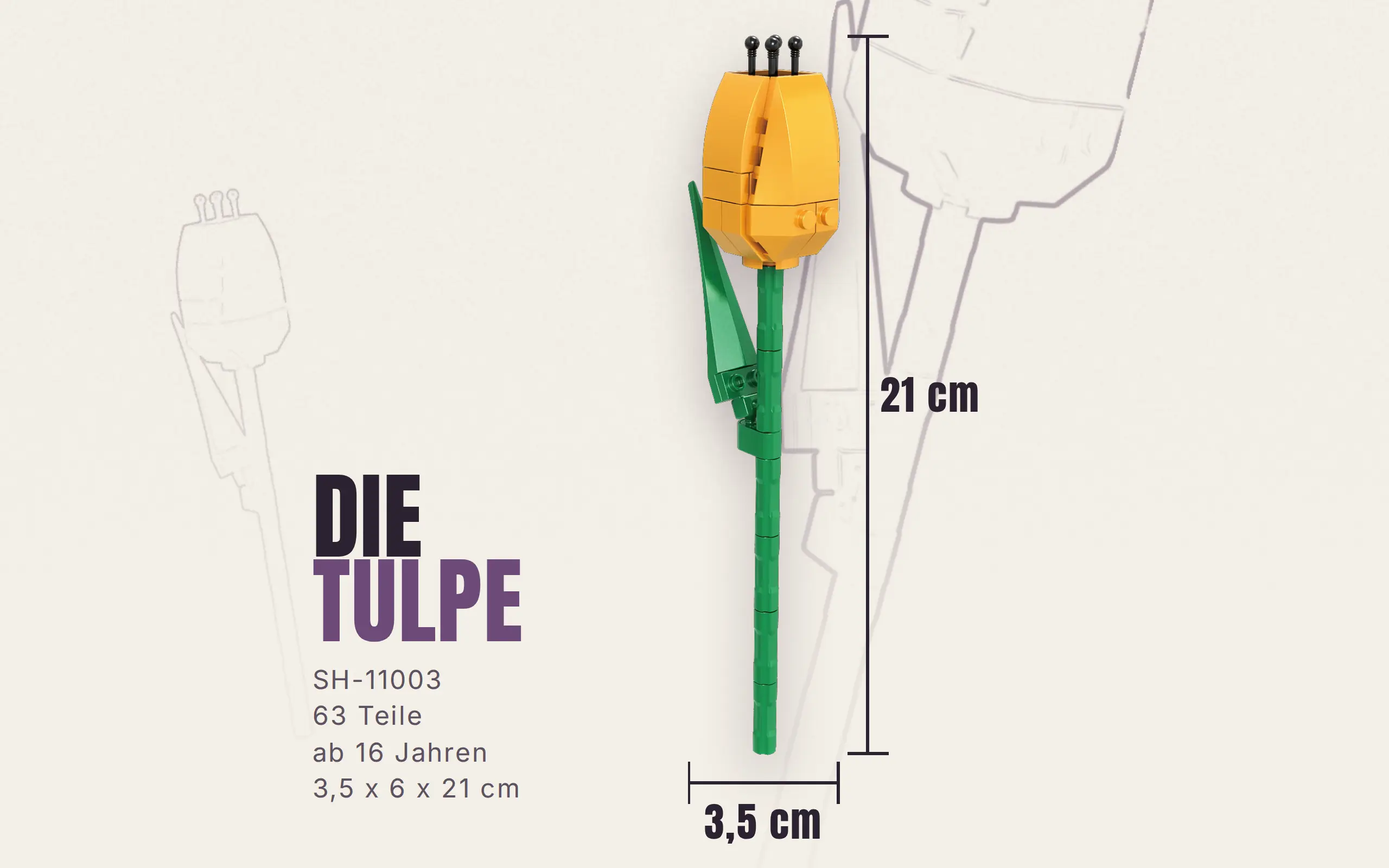 sh-11003_einzelblume-tulpe~9.webp