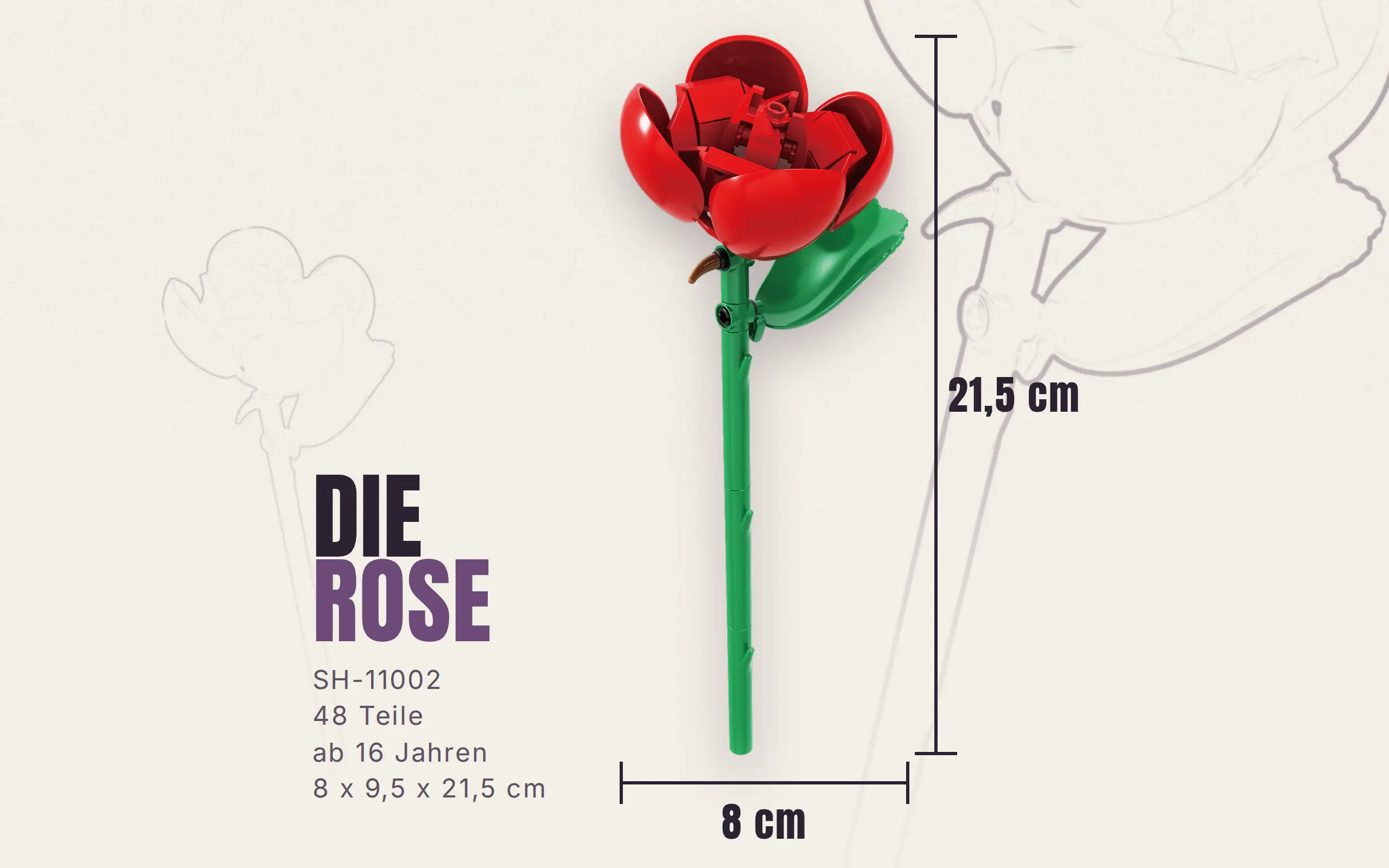 sh-11002_einzelblume-rose~9.webp