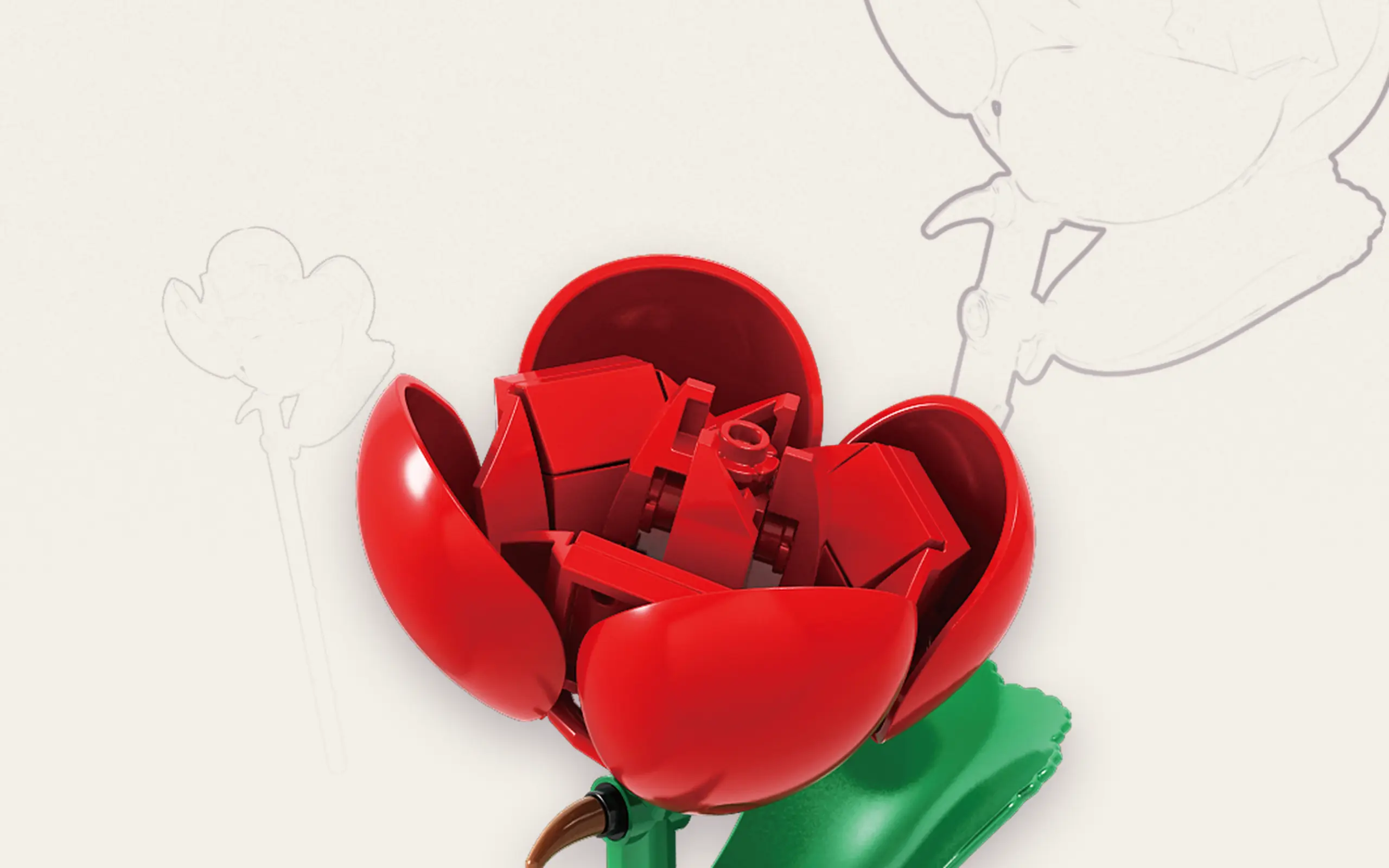 sh-11002_einzelblume-rose~10.webp