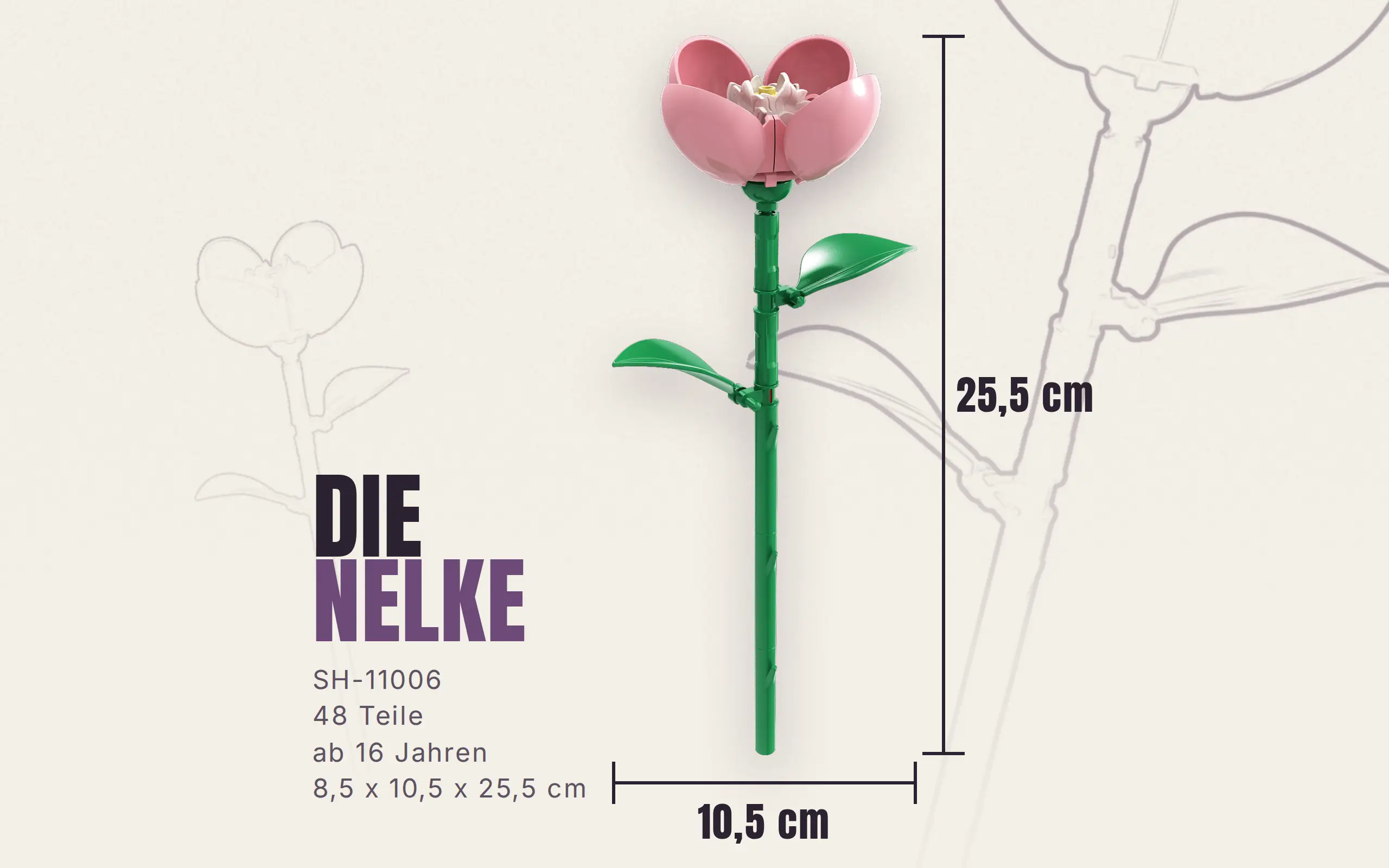 sh-11006_einzelblume-nelke~9.webp