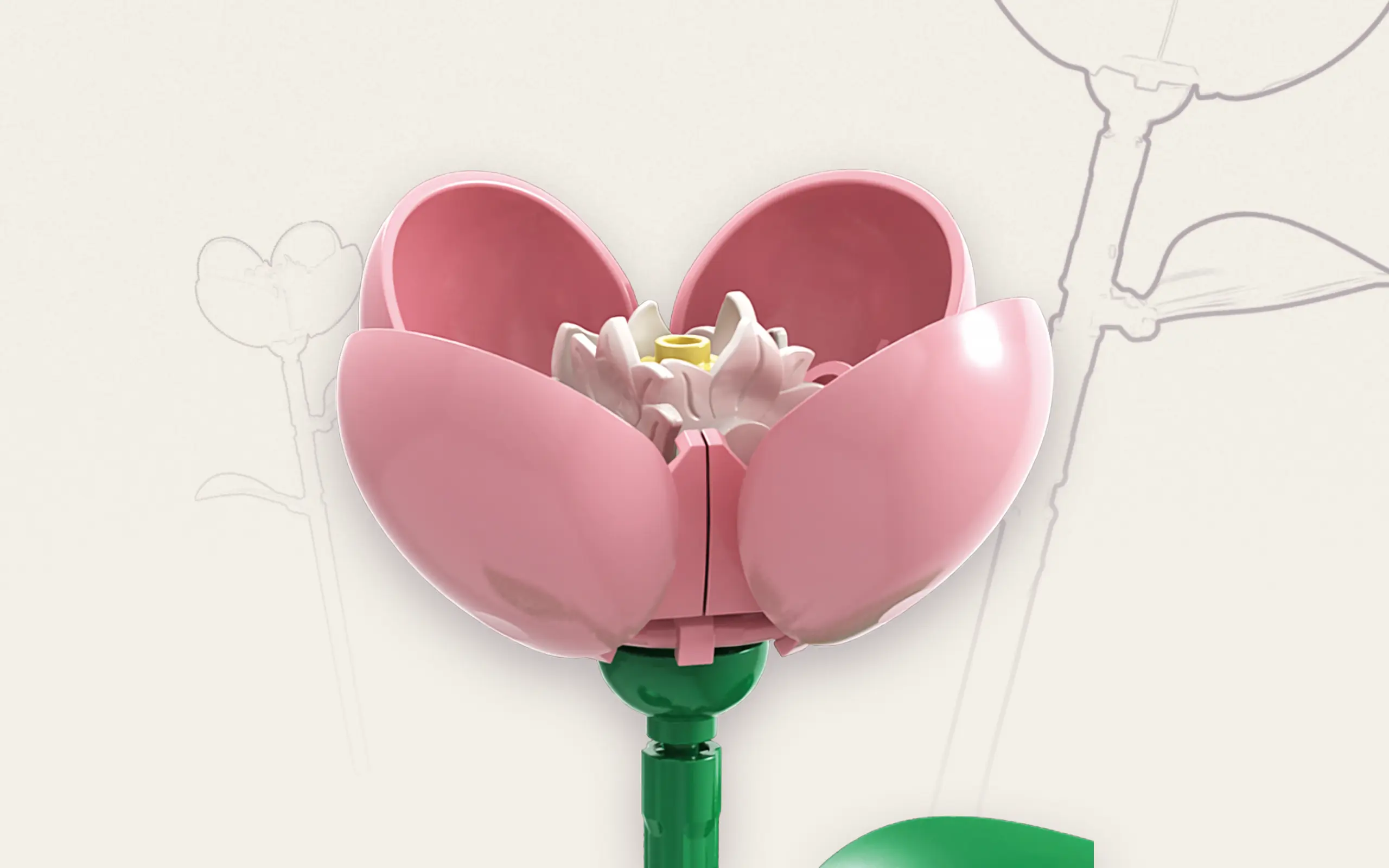 sh-11006_einzelblume-nelke~10.webp