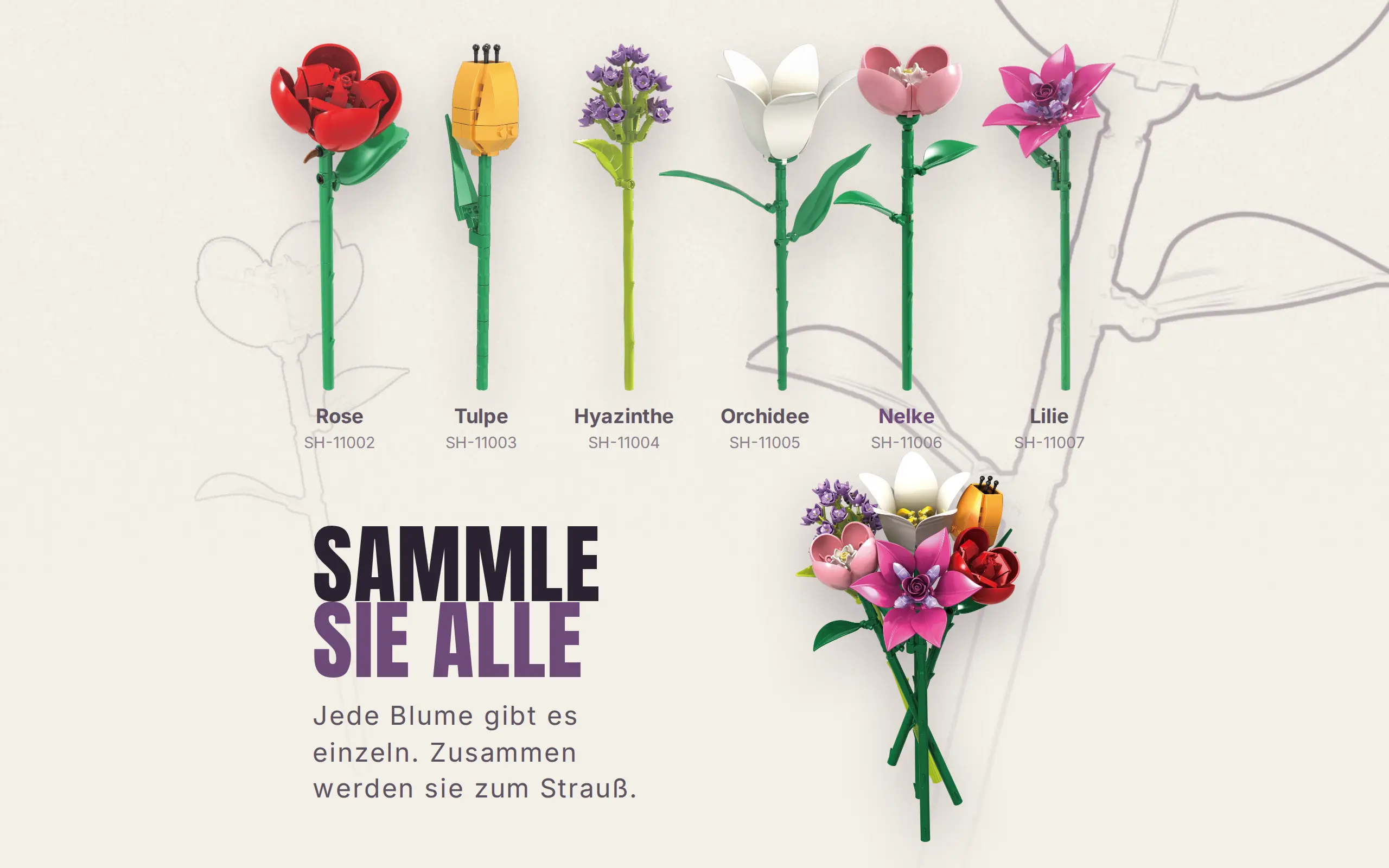 sh-11006_einzelblume-nelke~11.webp