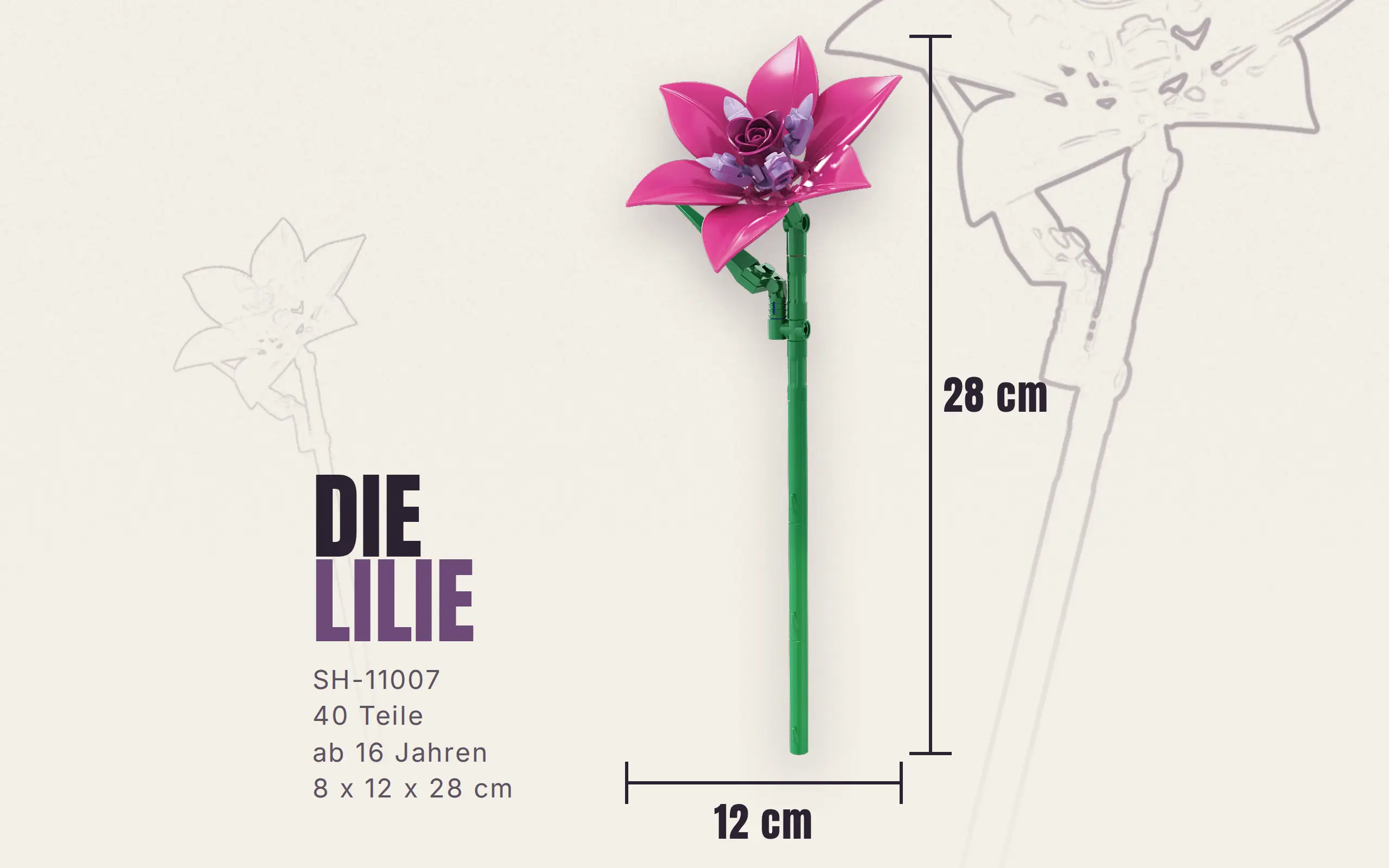 sh-11007_einzelblume-lilie~10.webp