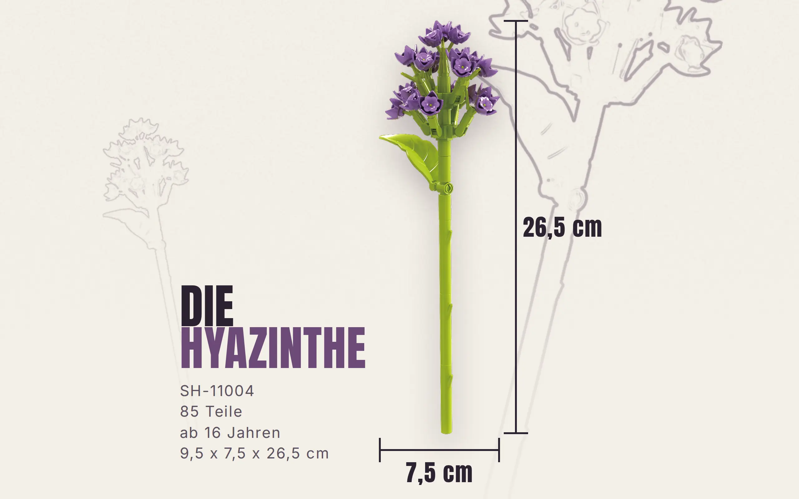 sh-11004_einzelblume-hyazinthe~9.webp
